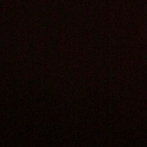 Meet your Posher, Tracye